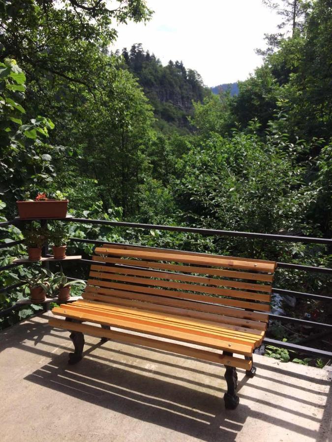 Borjomi Veranda Eksteriør bilde