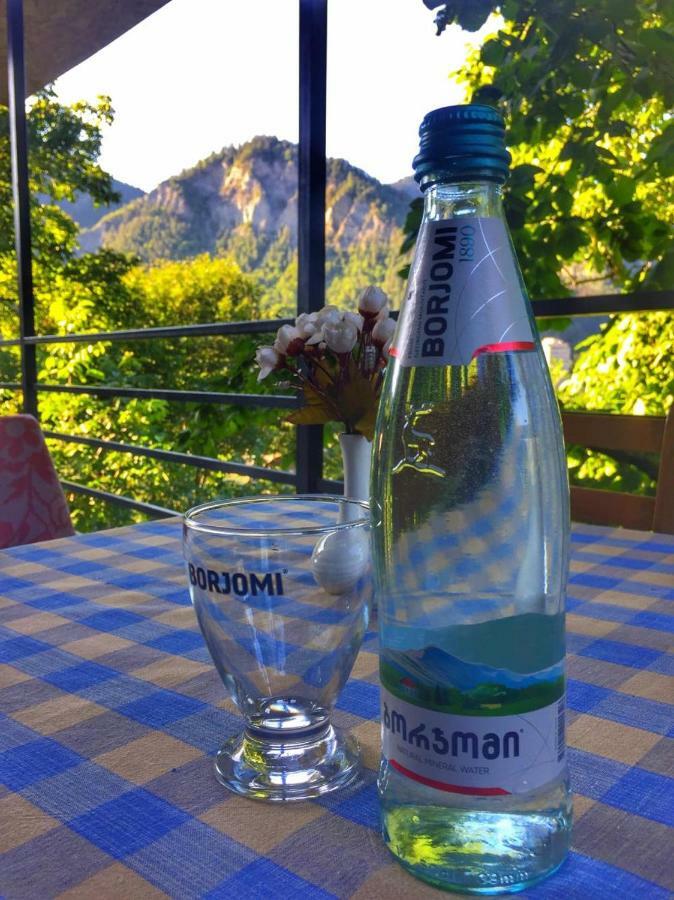 Borjomi Veranda Eksteriør bilde